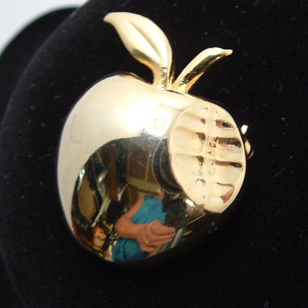 Vintage 70s Forbidden Fruit Apple Brooch